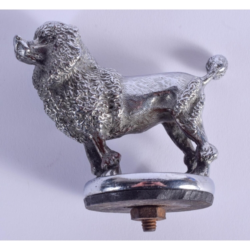 Lot 755       