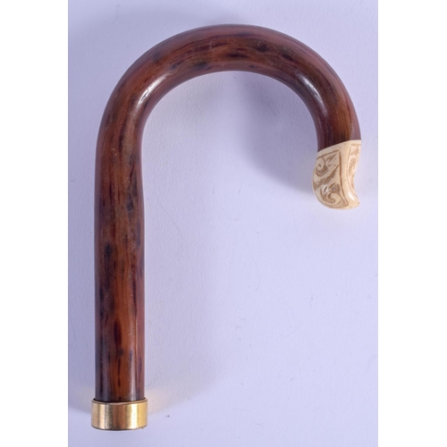 Lot 791       