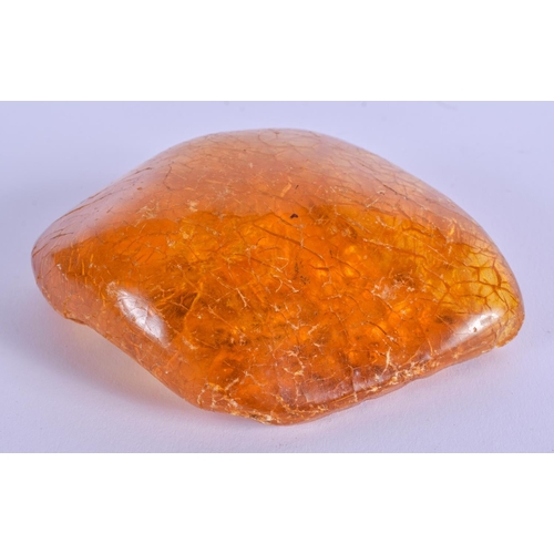 Lot 795       