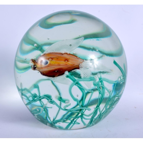 15 - AN UNUSUAL EUROPEAN SEAWEED AND FISH GLASS PAPERWEIGHT. 11 cm x 11 cm.