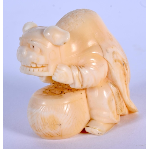 1584 - A 19TH CENTURY JAPANESE MEIJI PERIOD CARVED IVORY NETSUKE modelled as a male wearing a dog skin. 4 c... 