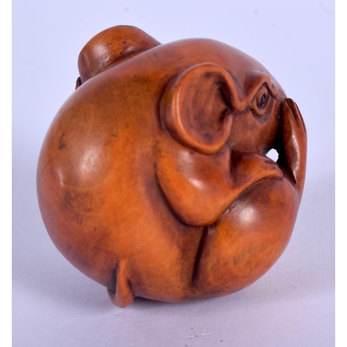 1667 - AN EARLY 20TH CENTURY JAPANESE CARVED BOXWOOD NETSUKE modelled as a coiled rat. 4 cm x 3.5 cm