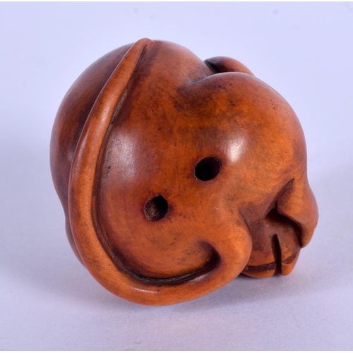 1667 - AN EARLY 20TH CENTURY JAPANESE CARVED BOXWOOD NETSUKE modelled as a coiled rat. 4 cm x 3.5 cm