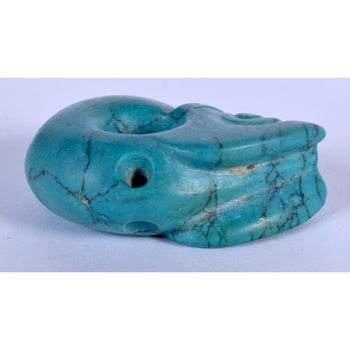 1689 - AN UNUSUAL CHINESE CARVED TURQUOISE PIG DRAGON 20th Century. 4.75 cm x 3 cm.