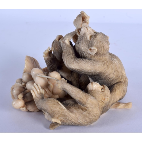 1795 - A FINE 19TH CENTURY JAPANESE MEIJI PERIOD CARVED IVORY OKIMONO modelled as apes clutching a dragonfl... 