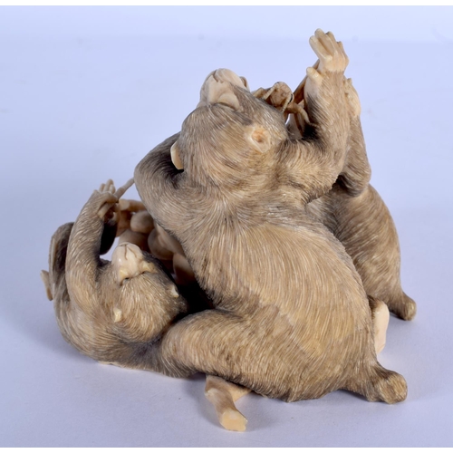 1795 - A FINE 19TH CENTURY JAPANESE MEIJI PERIOD CARVED IVORY OKIMONO modelled as apes clutching a dragonfl... 