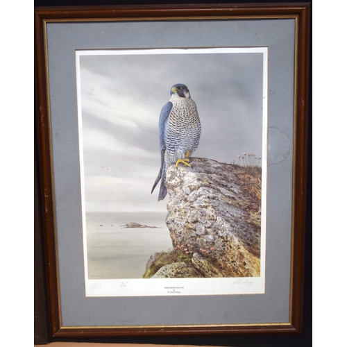 4333 - A framed Print of a mediaeval procession and another of an Peregrine  falcon  75 x 46cm