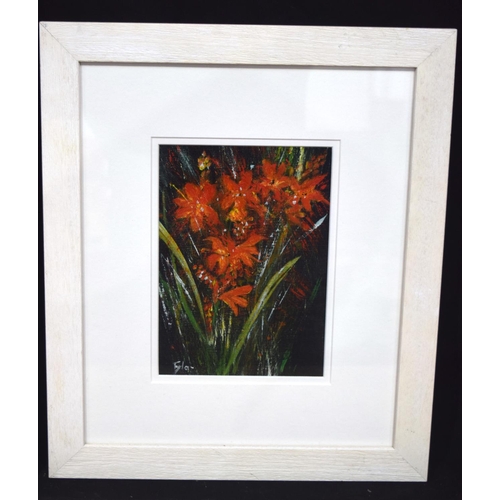 4336 - A framed acrylic  of a speedwell by S McNab together with another picture of a flower 24 x 16 (2)