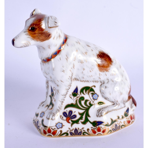 117 - Royal Crown Derby imari paperweight Parson Jack Russell Terrier.  12cm high