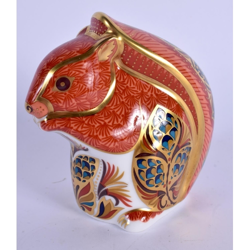 126 - Royal Crown Derby imari paperweight Red Squirrel.  9.5cm high