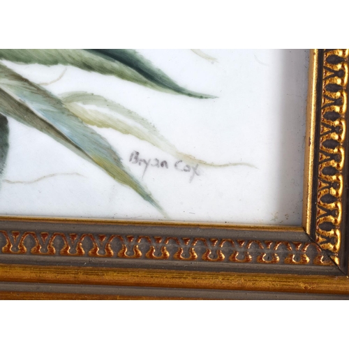 207 - Royal Worcester plaque painted with a bird on a branch by Bryan Cox, signed, black mark.  17cm x 11.... 