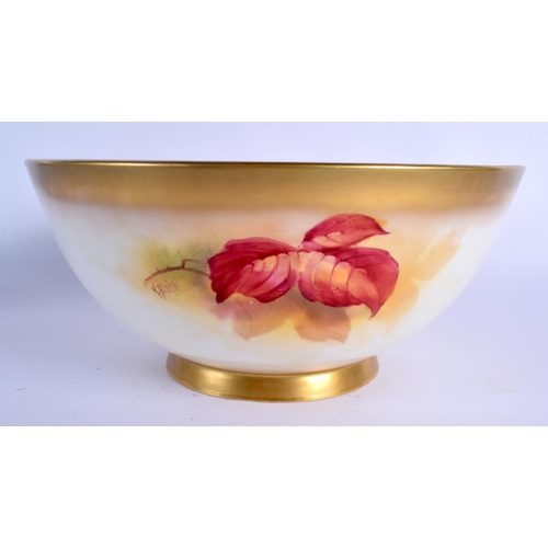 251 - A RARE LARGE ROYAL WORCESTER CIRCULAR BOWL by Kitty Blake, painted with fruiting pod. 26 cm x 12 cm.