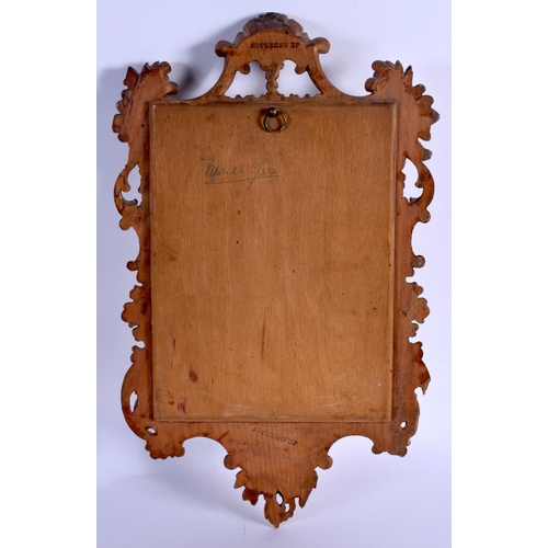 263 - AN UNUSUAL ANTIQUE CONTINENTAL CARVED AND PAINTED GILTWOOD MIRROR possibly Scandinavian, by J Anders... 