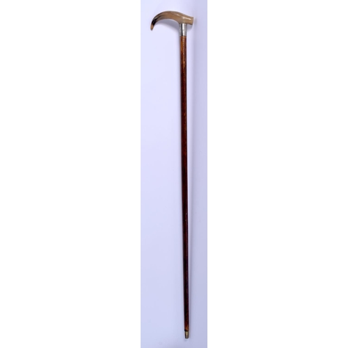 309 - A 19TH CENTURY CONTINENTAL CARVED BUFFALO HORN WALKING CANE with silver mounts. 88 cm long.