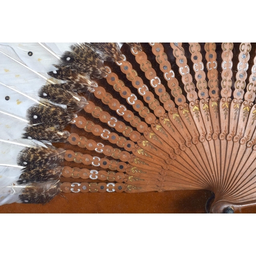 324 - A 1920S FRAMED FEATHER FAN with a painted wood stems. Fan 55 cm wide.