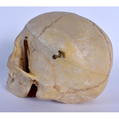 331 - A EUROPEAN ANATOMICAL MODEL OF A SKULL with moving jaw and opening top. 22 cm x 16 cm.