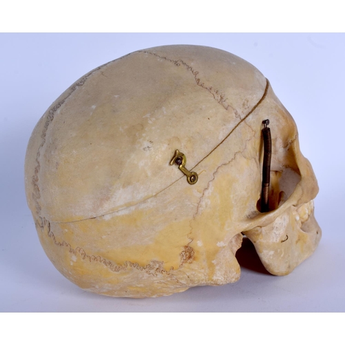 331 - A EUROPEAN ANATOMICAL MODEL OF A SKULL with moving jaw and opening top. 22 cm x 16 cm.