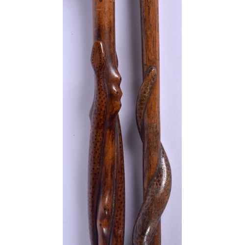 341 - TWO EARLY 20TH CENTURY CONTINENTAL FOLK ART CARVED SNAKE WALKING CANES. 94 cm long. (2)