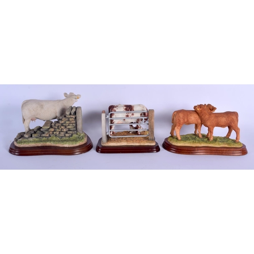 361 - A GROUP OF THREE BORDER FINE ARTS FIGURES OF COWS upon wooden plinths. Largest 20 cm x 15 cm. (3)