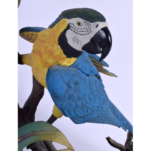 368 - A LARGE BORDER FINE ARTS FIGURE OF A BLUE AND GOLD MACAWS with certificate. 42 cm x 16 cm.