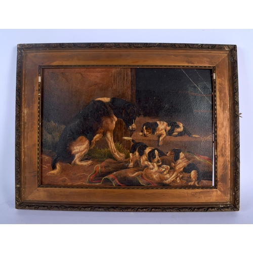 392 - English School (19th Century) Pair, Oil on card, Dogs. Image 34 cm x 24 cm.