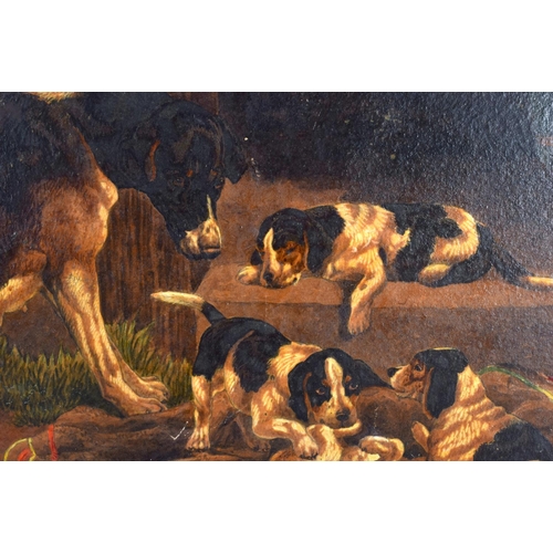 392 - English School (19th Century) Pair, Oil on card, Dogs. Image 34 cm x 24 cm.