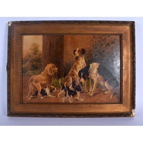 392 - English School (19th Century) Pair, Oil on card, Dogs. Image 34 cm x 24 cm.