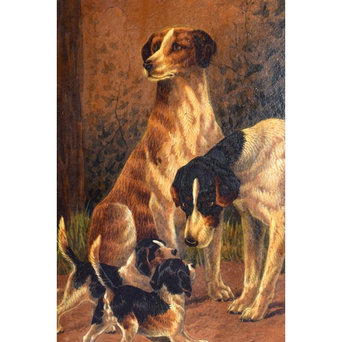 392 - English School (19th Century) Pair, Oil on card, Dogs. Image 34 cm x 24 cm.