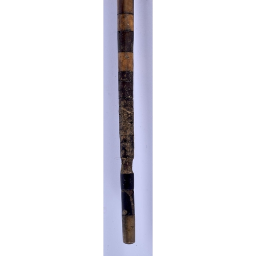 394 - A 19TH CENTURY CONTINENTAL FULL LENGTH RHINOCEROS AND BUFFALO HORN WALKING CANE. 88 cm long.