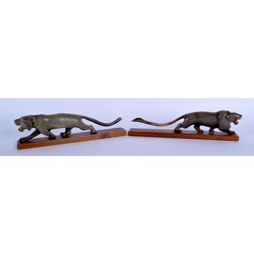 396 - A RARE PAIR OF 19TH CENTURY CONTINENTAL CARVED RHINOCEROS HORN FIGURE OF A ROAMING LION upon a woode... 