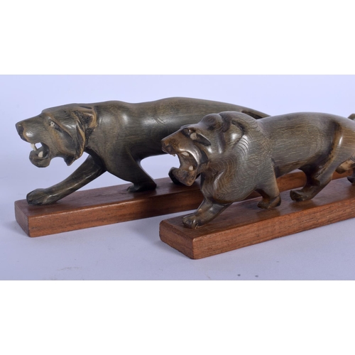 396 - A RARE PAIR OF 19TH CENTURY CONTINENTAL CARVED RHINOCEROS HORN FIGURE OF A ROAMING LION upon a woode... 