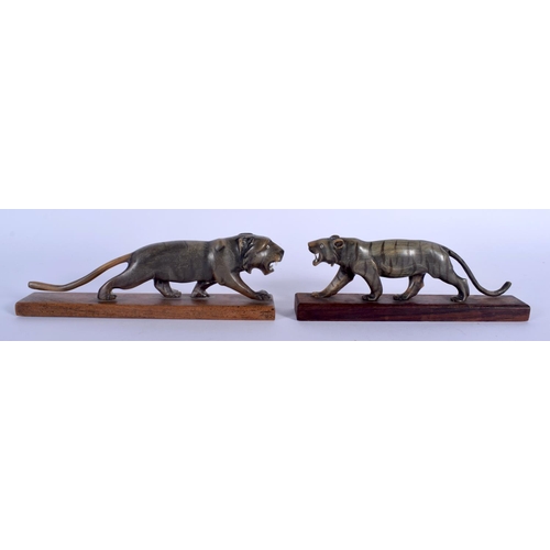 397 - A RARE PAIR OF  19TH CENTURY CONTINENTAL CARVED RHINOCEROS HORN FIGURE OF A ROAMING TIGERS upon a wo... 