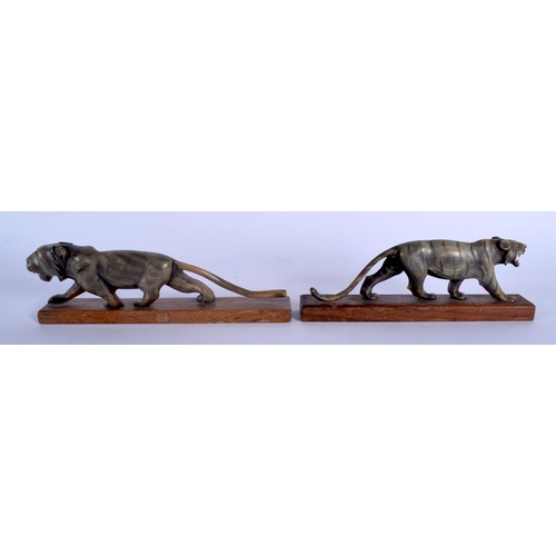 397 - A RARE PAIR OF  19TH CENTURY CONTINENTAL CARVED RHINOCEROS HORN FIGURE OF A ROAMING TIGERS upon a wo... 