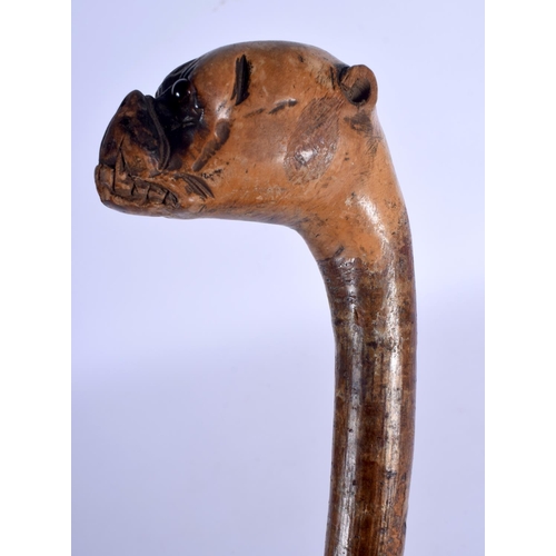 400 - AN EARLY 20TH CENTURY BAVARIAN BLACK FOREST DOG HEAD WALKING CANE. 88 cm long.