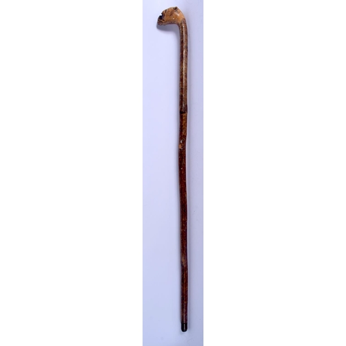 400 - AN EARLY 20TH CENTURY BAVARIAN BLACK FOREST DOG HEAD WALKING CANE. 88 cm long.