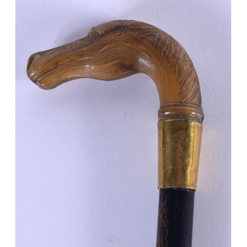 415 - A VERY RARE 19TH CENTURY CONTINENTAL CARVED RHINOCEROS HORN HORSE HEAD WALKING CANE. 68 cm long.