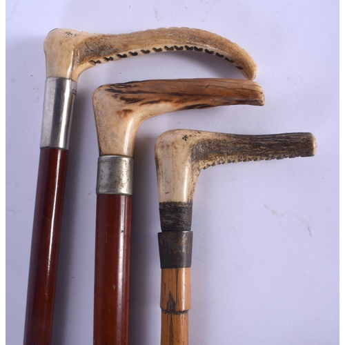 421 - A PAIR OF ANTIQUE ANTLER HANDLED RIDING CROPS together antler walking cane. Largest 88 cm long. (3)