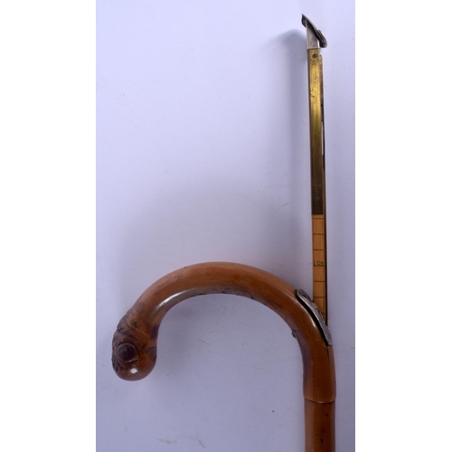 422 - AN ANTIQUE SILVER MOUNTED BAMBOO HORN MEASURING STICK. 92 cm long.