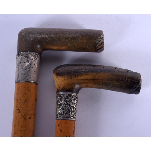 439 - TWO 19TH CENTURY CONTINENTAL CARVED RHINOCEROS HORN HANDLED WALKING CANES. 88 cm long. (2)