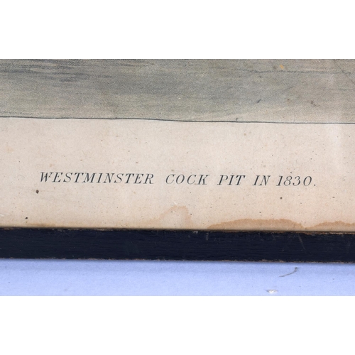 665 - AN EARLY 19TH CENTURY WESTMINSTER COCK PIT PRINT C1830. Image 31 cm x 31 cm.