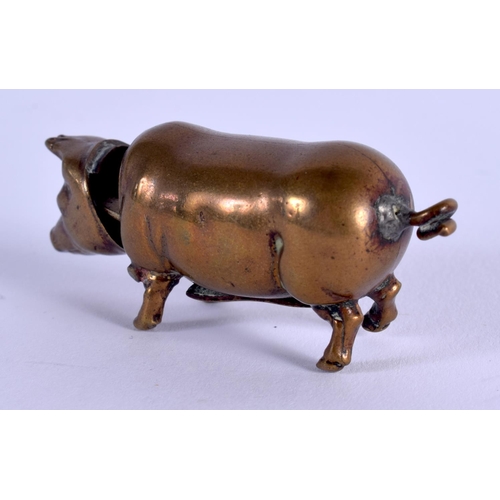 1187 - AN ANTIQUE BRASS PIG VESTA CASE. 5.5 cm x 1.5 cm.