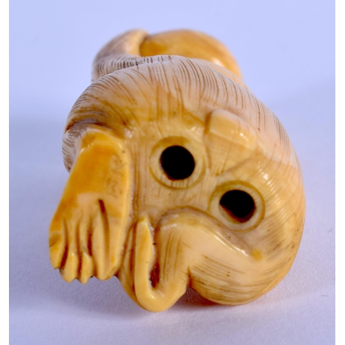 1551 - AN EARLY 20TH CENTURY JAPANESE MEIJI PERIOD CARVED IVORY MONKEY NETSUKE. 4.5 cm x 2.75 cm.