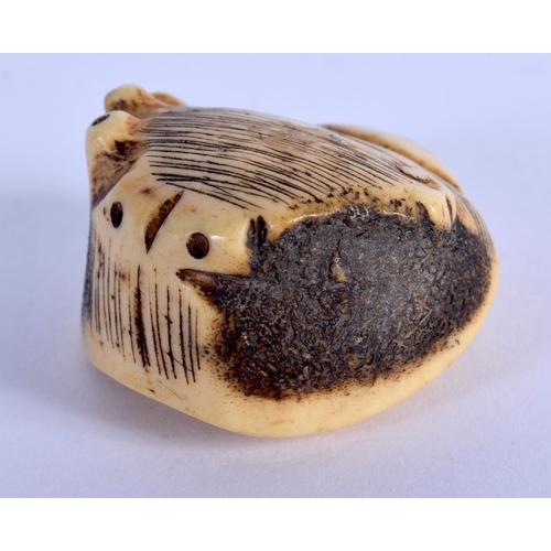 1555 - A RARE 18TH/19TH CENTURY JAPANESE EDO PERIOD STAG ANTLER NETSUKE of naturalistic form. 4 cm x 3.25 c... 