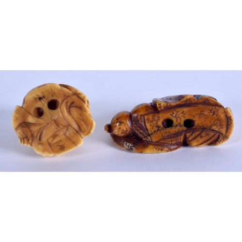 1556 - A 19TH CENTURY JAPANESE MEIJI PERIOD CARVED IVORY NETSUKE together with another. Largest 3.5 cm x 3.... 