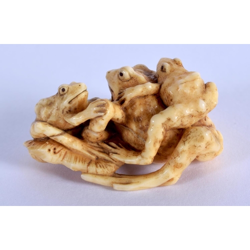 1557 - A 19TH CENTURY JAPANESE MEIJI PERIOD CARVED IVORY OKIMONO modelled as three warty toads. 3.5 cm x 2.... 