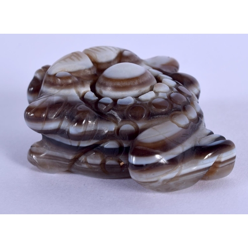 1650 - AN UNUSUAL TIBETAN CARVED AGATE PLAQUE 20th Century. 5 cm x 3.5 cm.