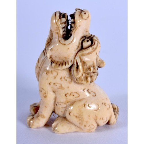 1705 - AN EARLY 20TH CENTURY JAPANESE MEIJI PERIOD CARVED IVORY NETSUKE formed as a rearing lion. 4 cm x 2.... 