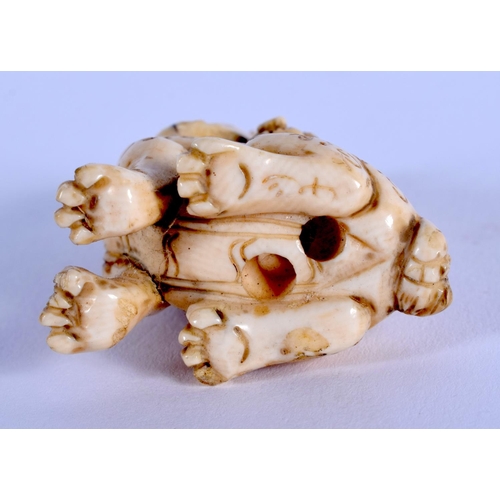 1705 - AN EARLY 20TH CENTURY JAPANESE MEIJI PERIOD CARVED IVORY NETSUKE formed as a rearing lion. 4 cm x 2.... 