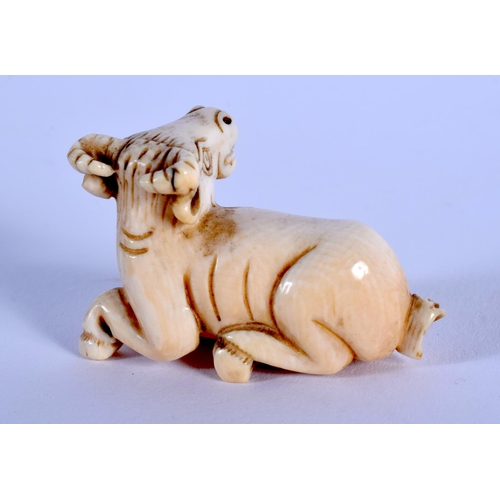 1706 - AN EARLY 20TH CENTURY JAPANESE MEIJI PERIOD CARVED IVORY NETSUKE formed as a rearing bullock. 3 cm x... 