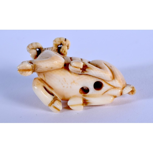 1706 - AN EARLY 20TH CENTURY JAPANESE MEIJI PERIOD CARVED IVORY NETSUKE formed as a rearing bullock. 3 cm x... 